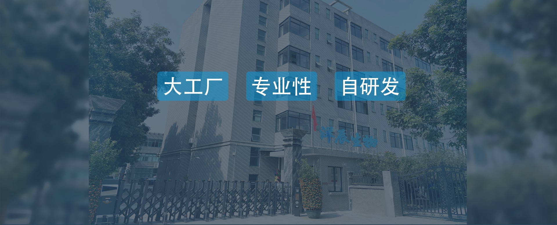 通栏图片